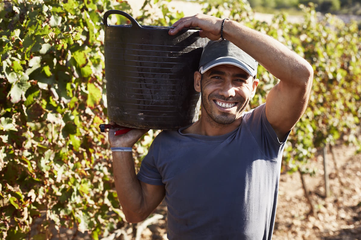 Happy hispanic farm worker smiling working outside with basket on shoulder